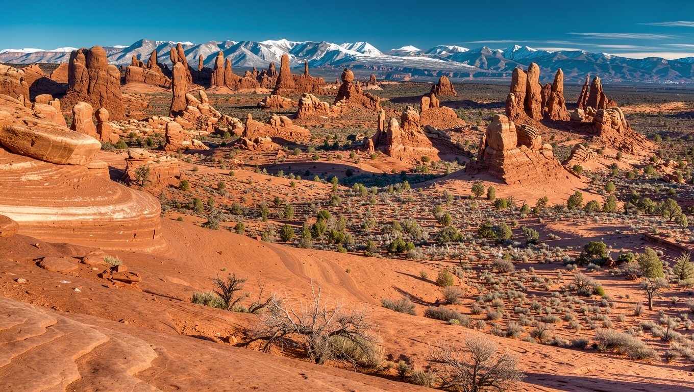 Red sandstone fins, pinnacles and balanced rocks across Arches National Park with the La Sal mountains behind
